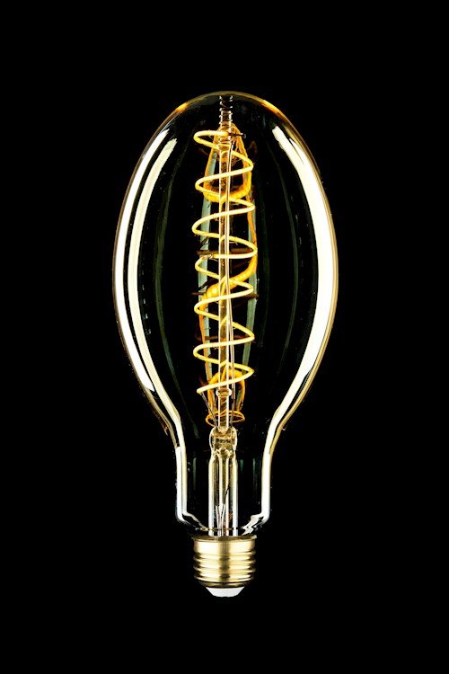 Oversize LED Vintage Bulb by Aspen Brands